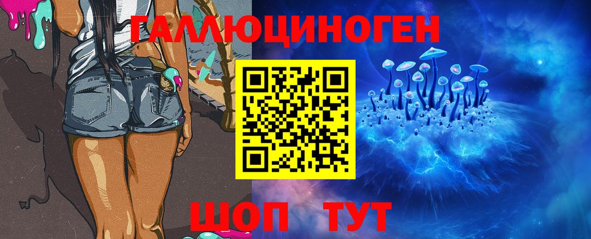 Галлюциногенные грибы GOLDEN TEACHER  цена   Вход с VPN  Кимры  Псилоцибиновые грибы Psilocybine cubensis 